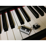 Piano accompaniments